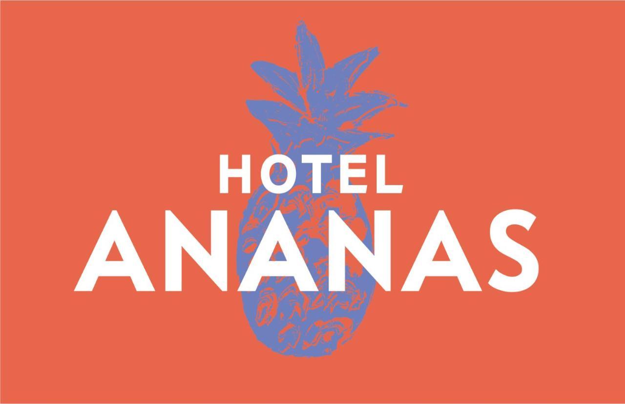 Hotel Boutique Ananas Cambaquara Exterior photo
